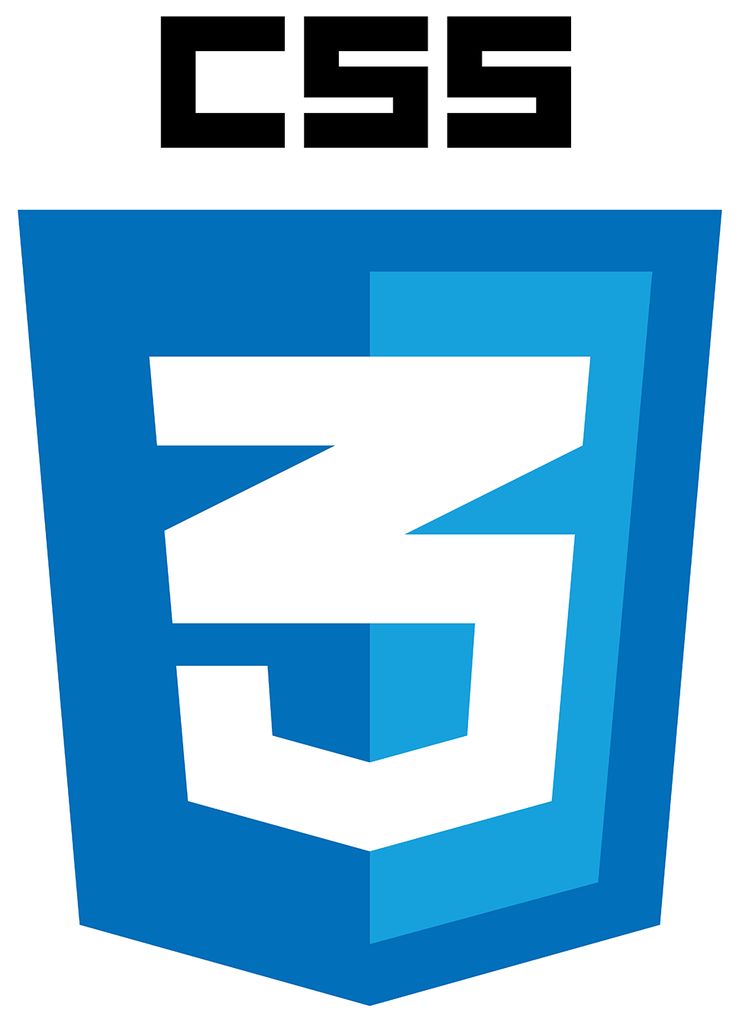 CSS logo